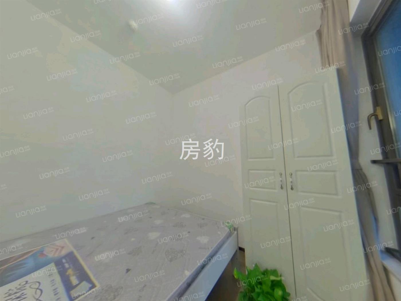 实拍图