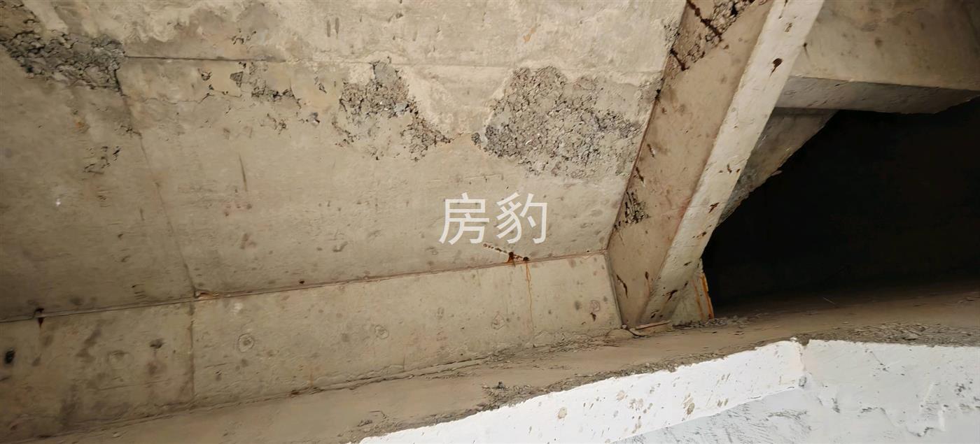 实拍图