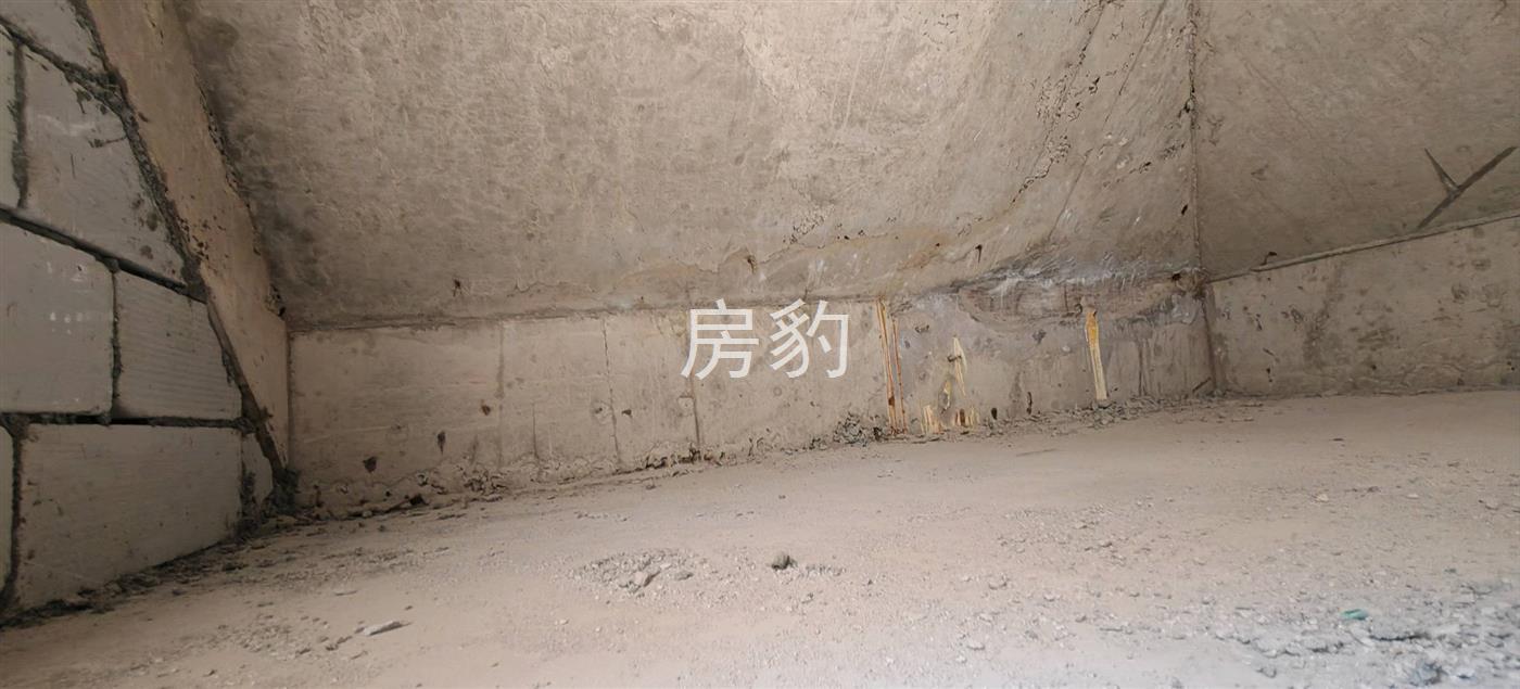 实拍图