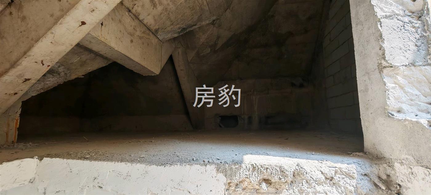 实拍图